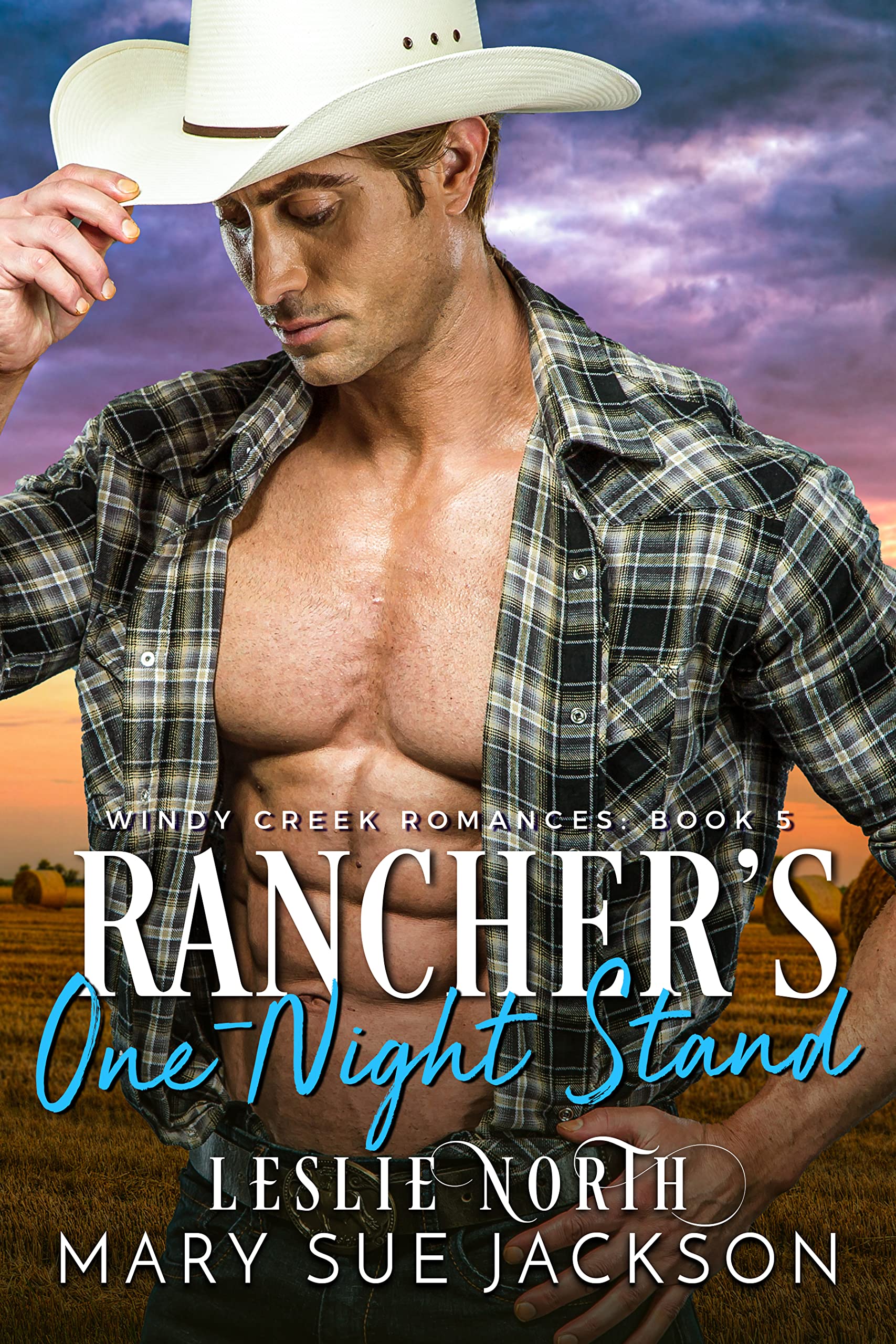 Rancher's One-Night Stand book cover