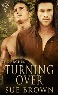 The Arches book cover 3