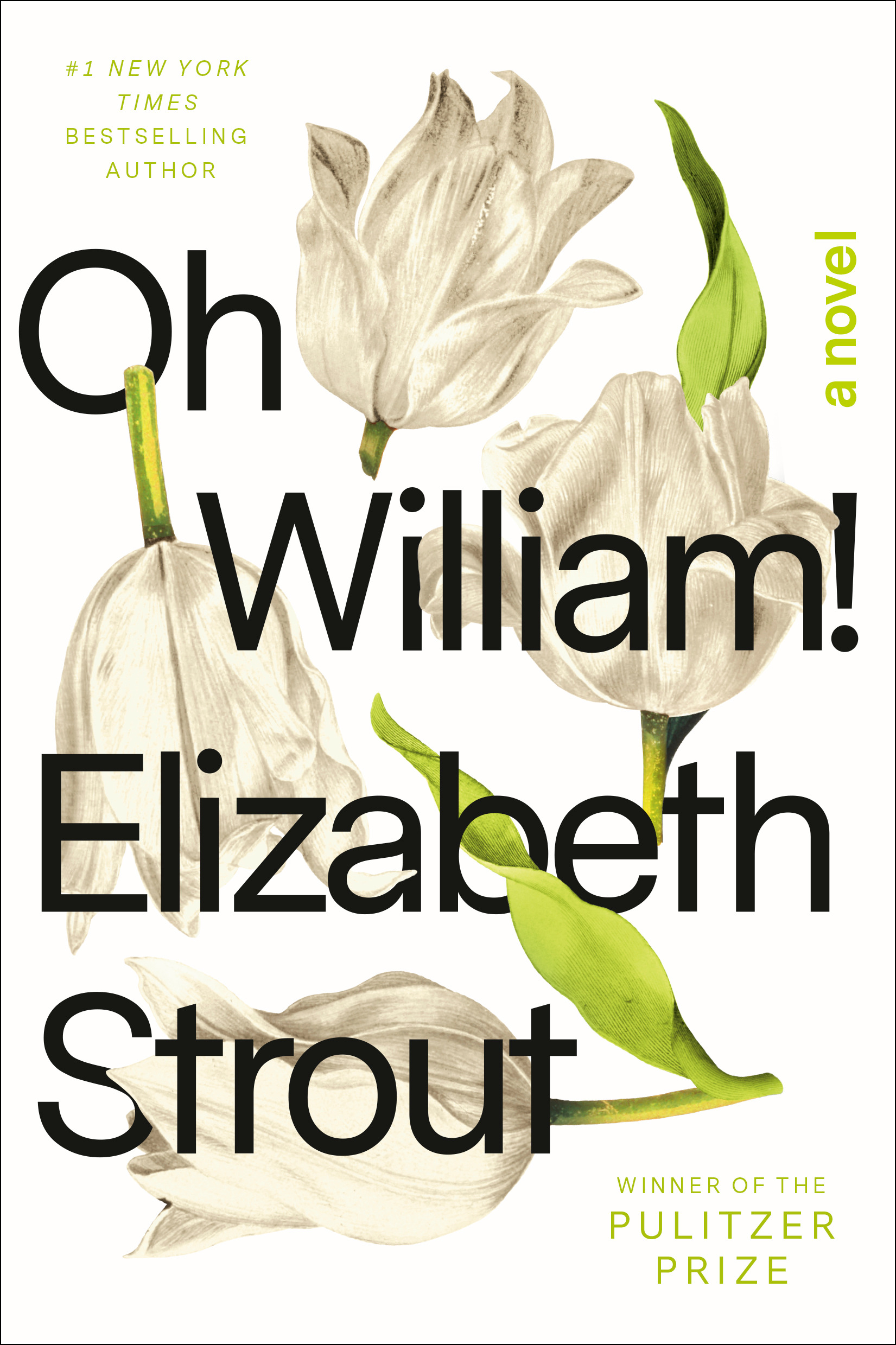 Amgash book cover 3