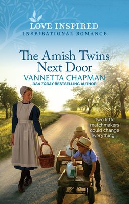 The Amish Twins Next Door book cover