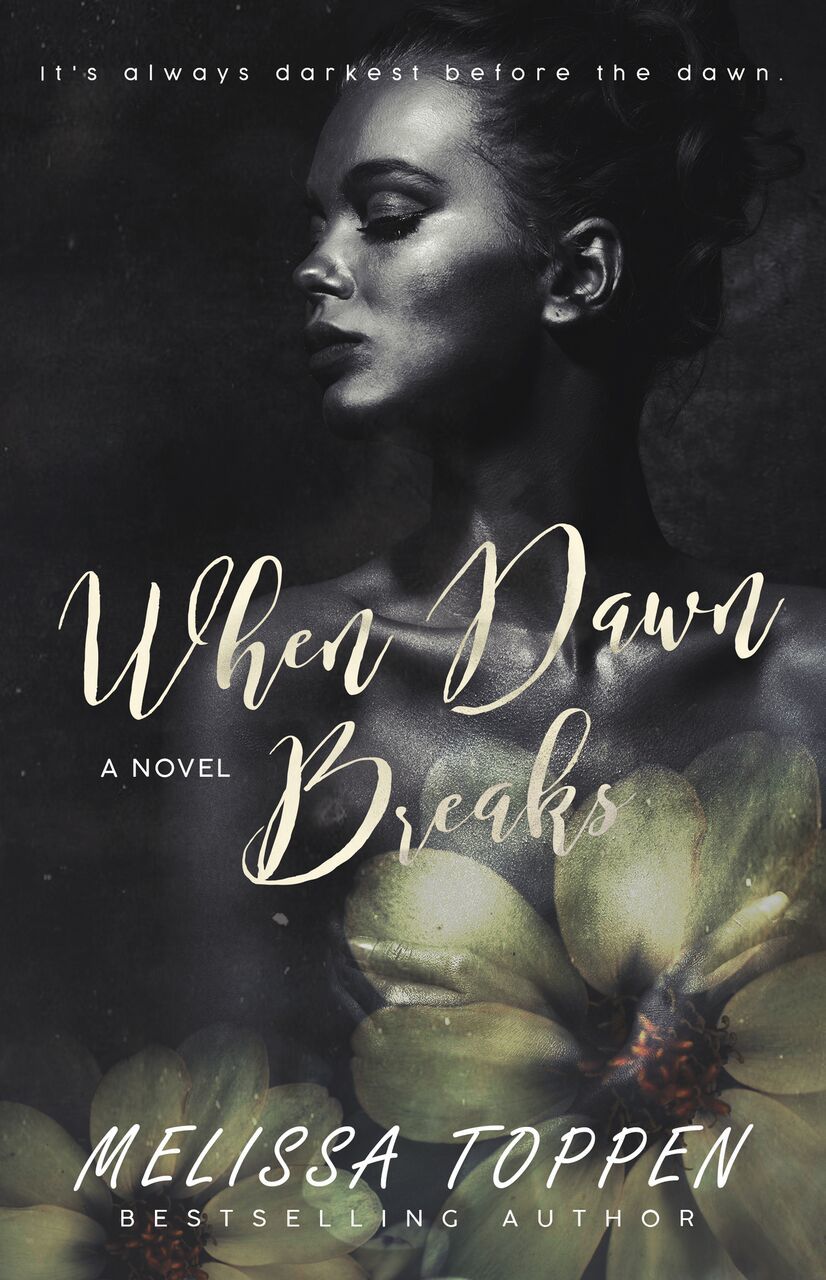 When Dawn Breaks book cover
