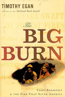 The Big Burn book cover