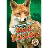 Red Foxes book cover