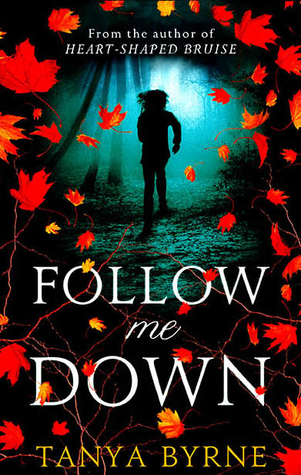 Follow Me Down book cover