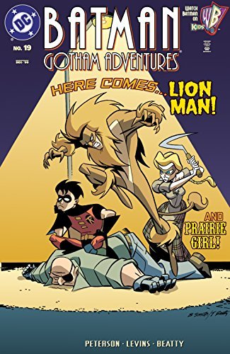 Batman book cover