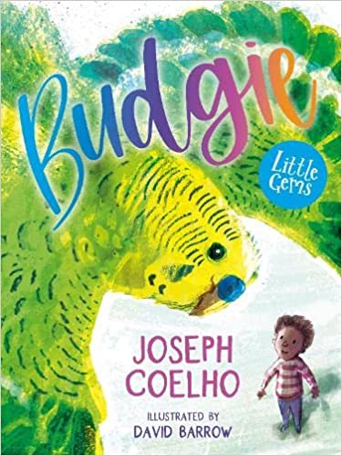 Budgie book cover