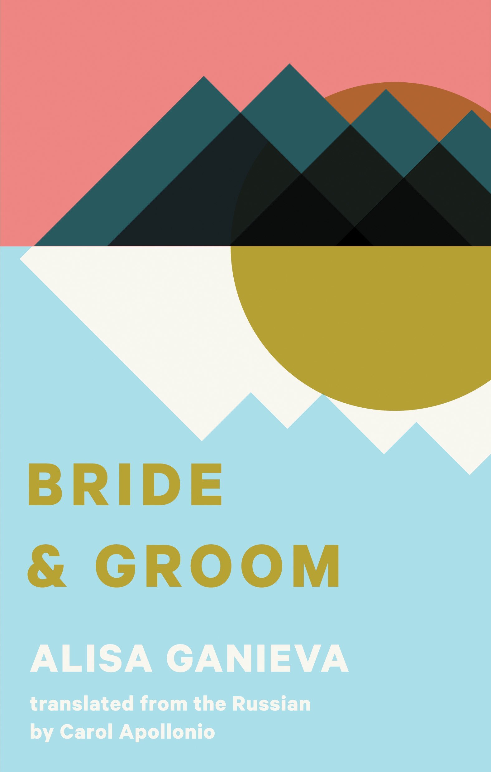 Bride and Groom book cover