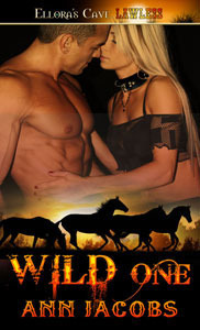 Bar C Legacy book cover 3