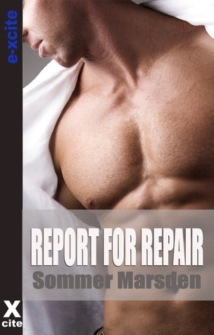 Report For Repair book cover