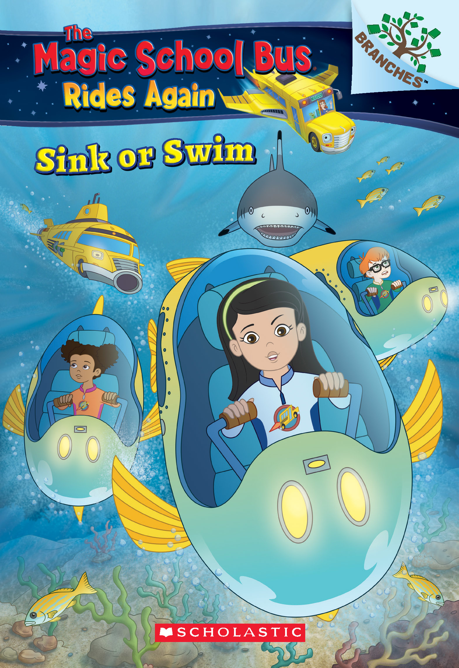 Sink or Swim book cover