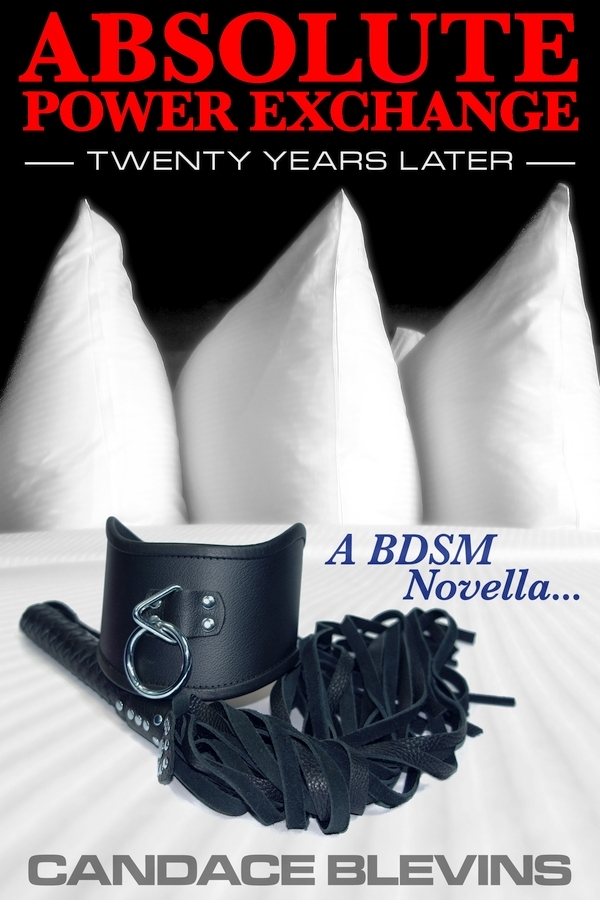Absolute Power Exchange - Twenty Years Later book cover