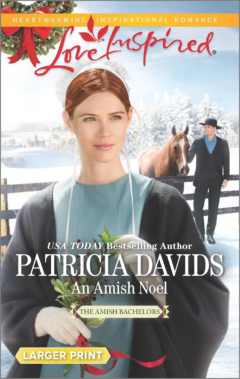 The Amish Bachelors book cover 2