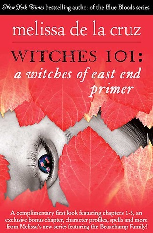 Witches 101 book cover