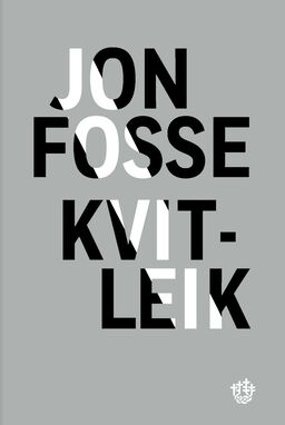 A Shining book cover