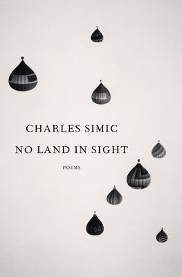 No Land in Sight book cover