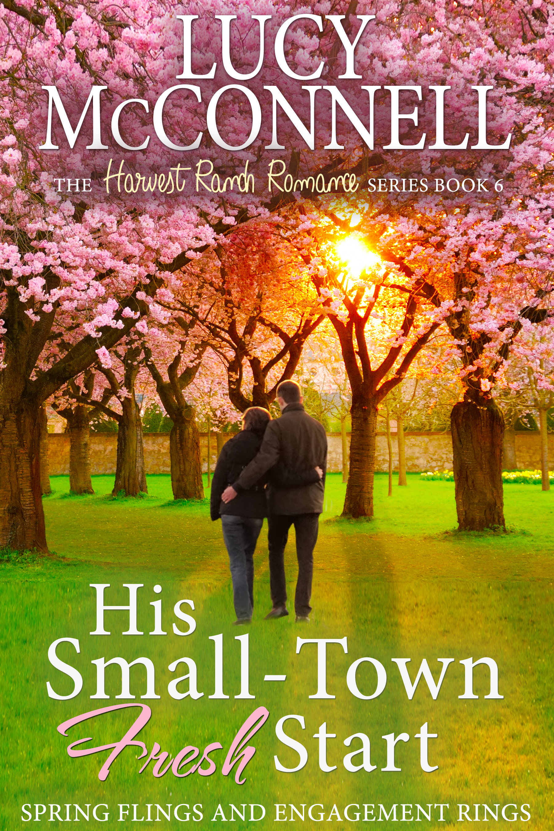 His Small Town Fresh Start book cover