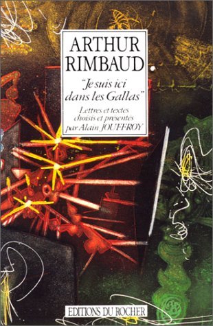 Je suis ici dans les Gallas book cover