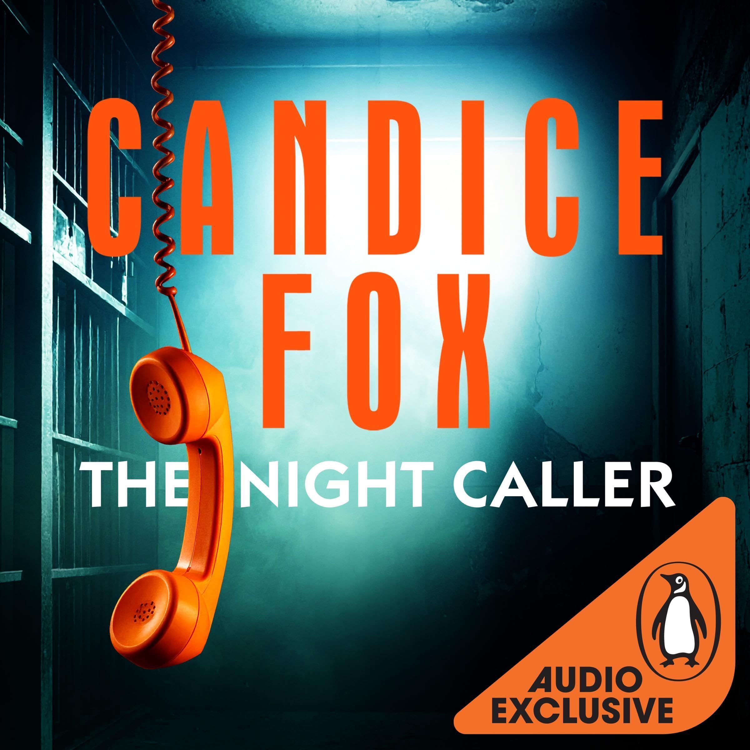 The Night Caller book cover