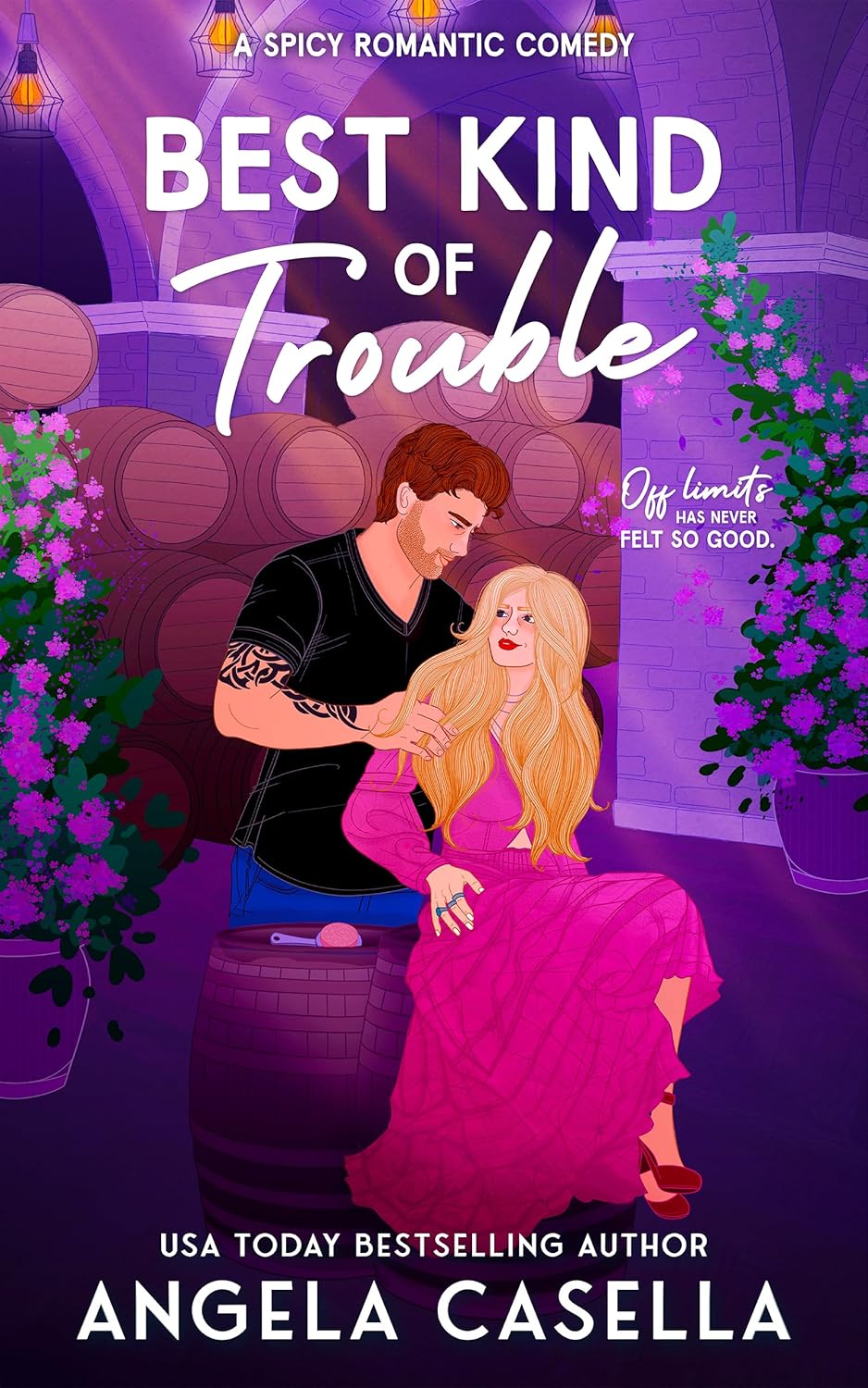Babes of Brewing book cover 3