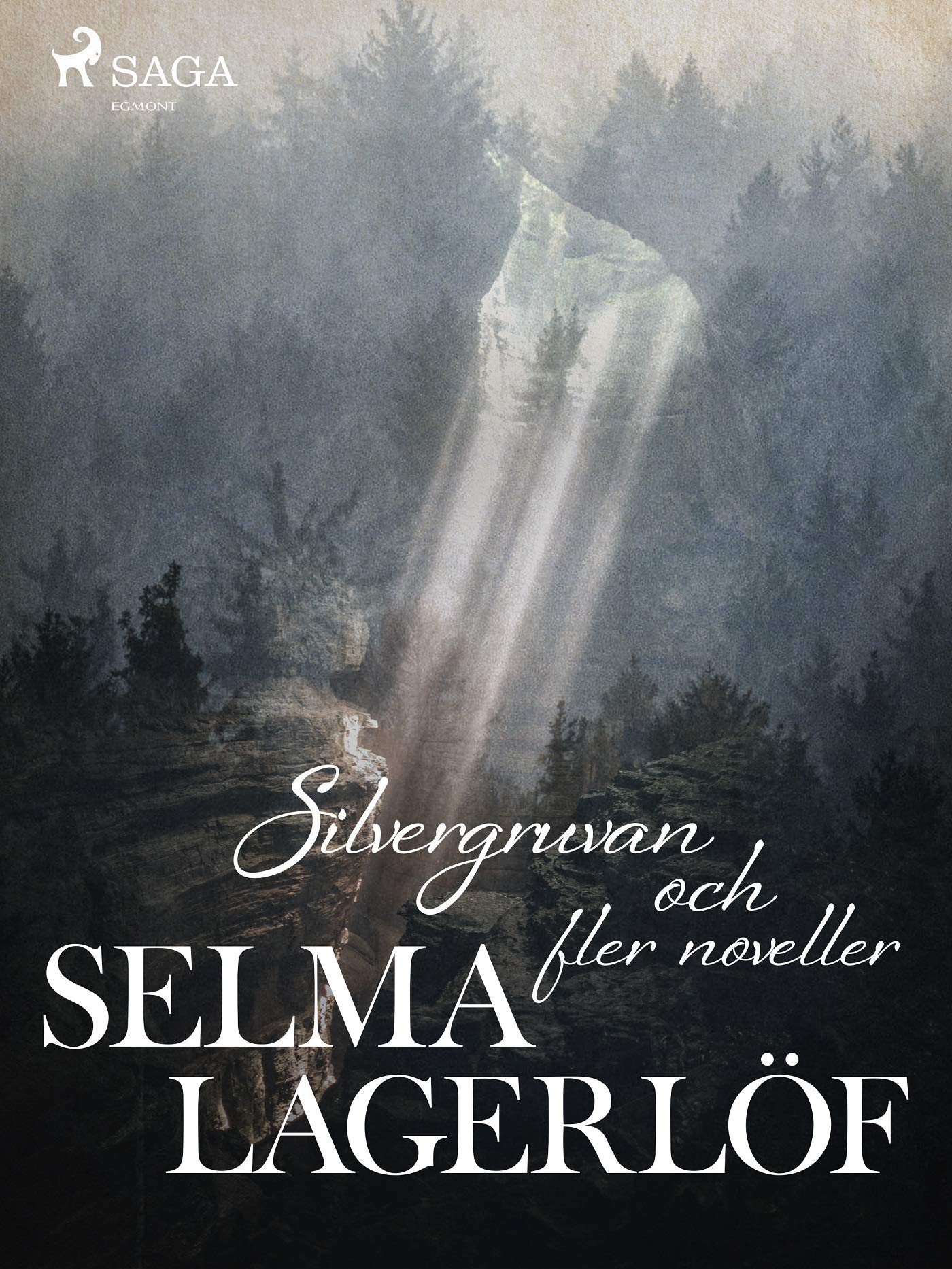 Die Silbergrube book cover