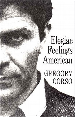 Elegiac Feelings American book cover