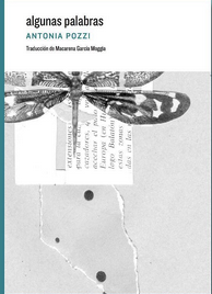 Algunas palabras book cover