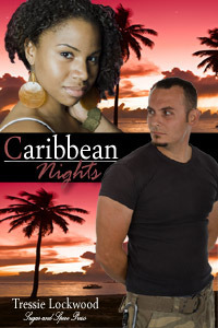 Caribbean Nights book cover