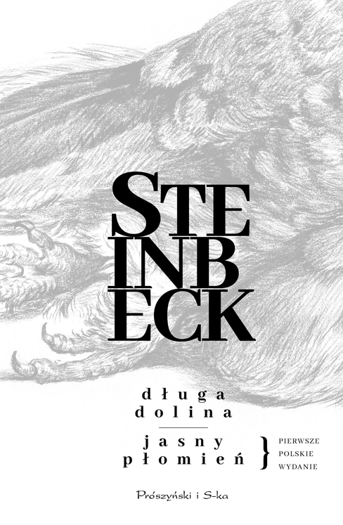 Długa dolina. Jasny płomień book cover