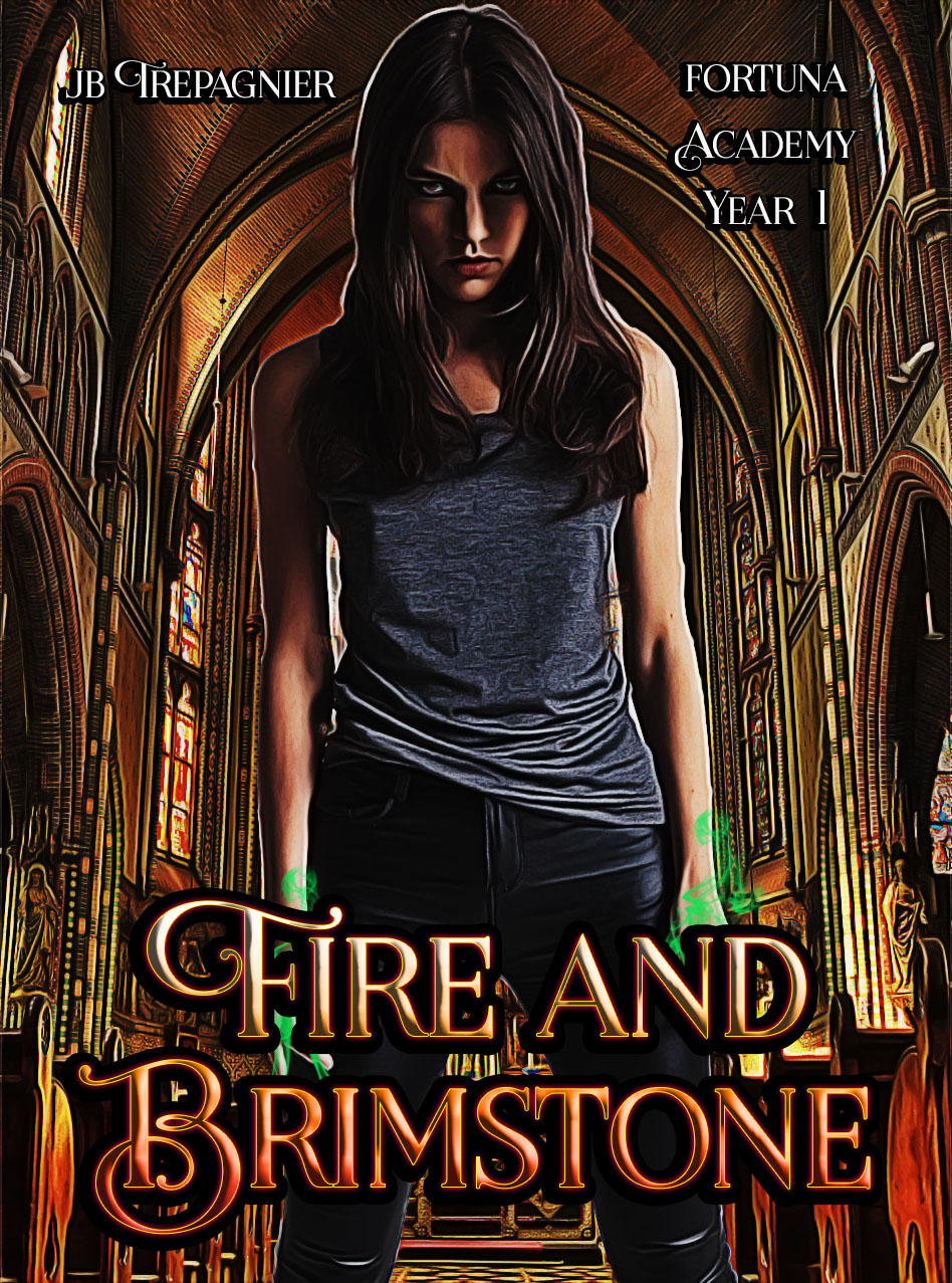 Fortuna Academy book cover 1