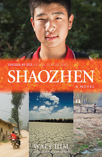 Shaozhen book cover