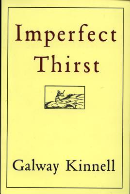 Imperfect Thirst book cover