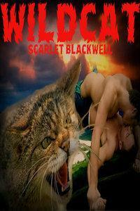 Wildcat book cover 1