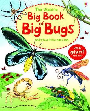 Big Book Of Big Bugs book cover