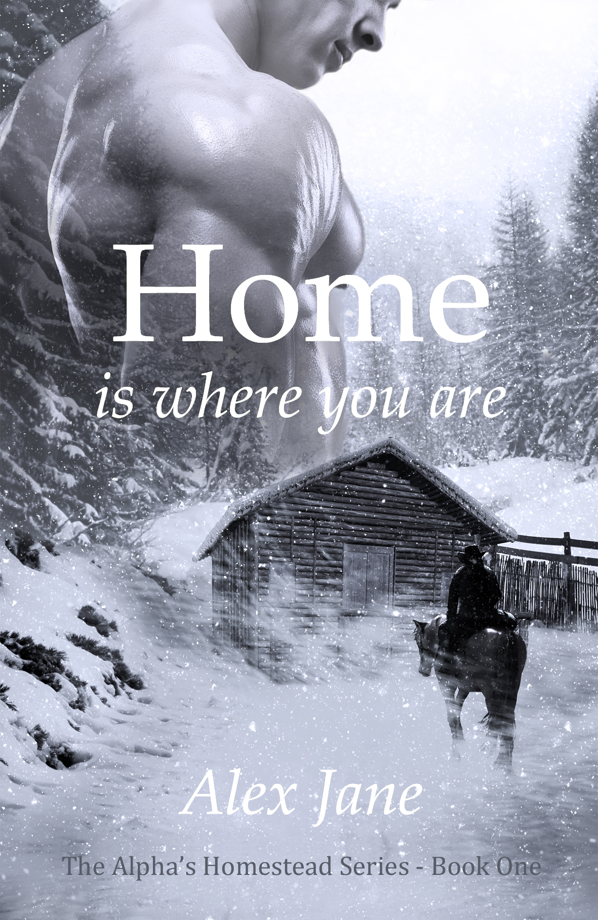 Home Is Where You Are book cover