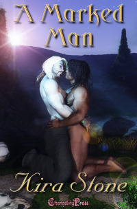 A Marked Man book cover
