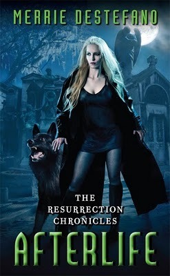 The Resurrection Chronicles book cover 1