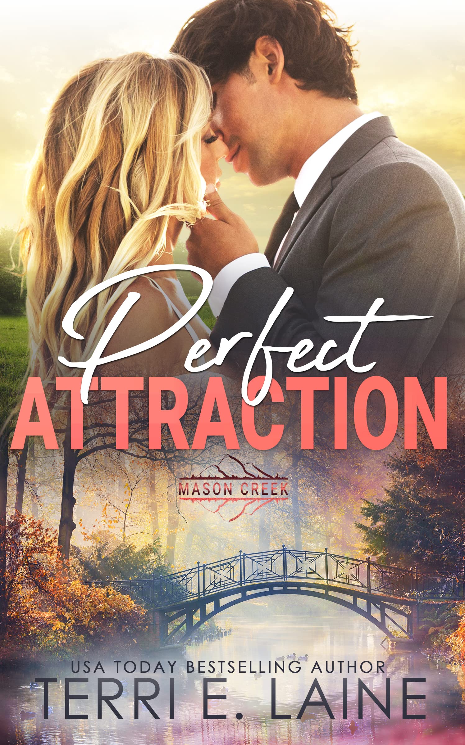 Perfect Attraction book cover
