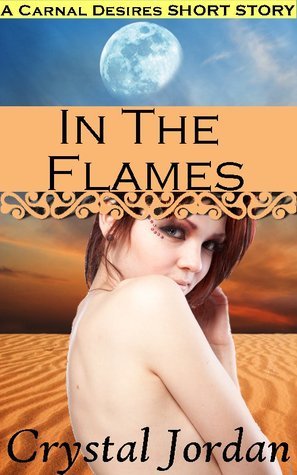 In The Flames book cover