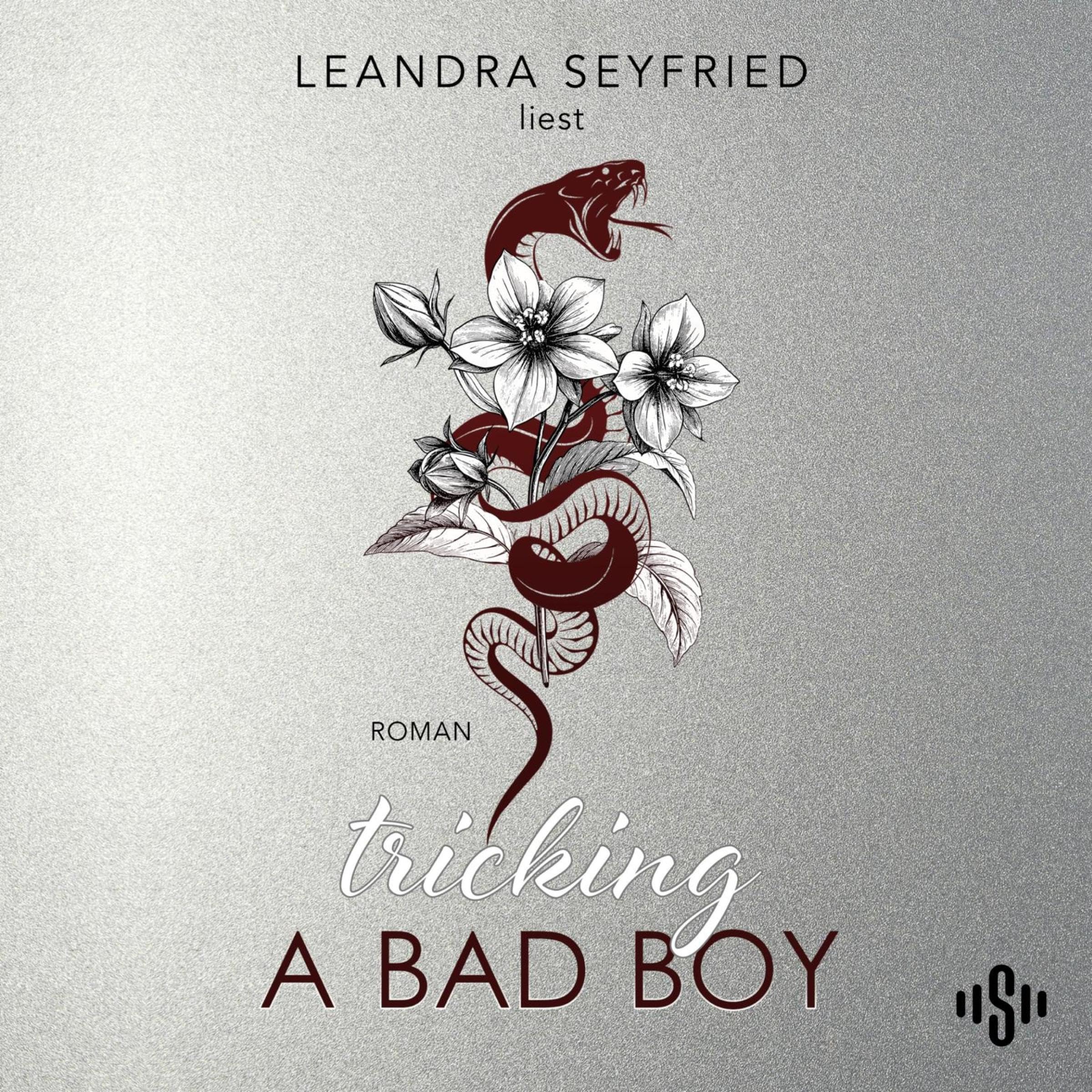 Tricking A Bad Boy book cover