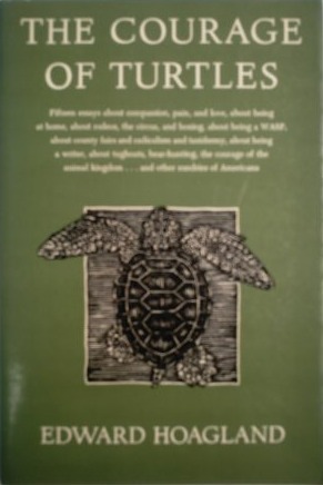 The Courage of Turtles book cover