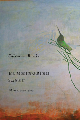 Hummingbird Sleep book cover