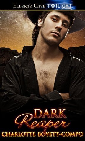 Dark Reaper book cover