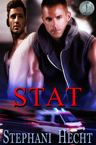 Stat book cover