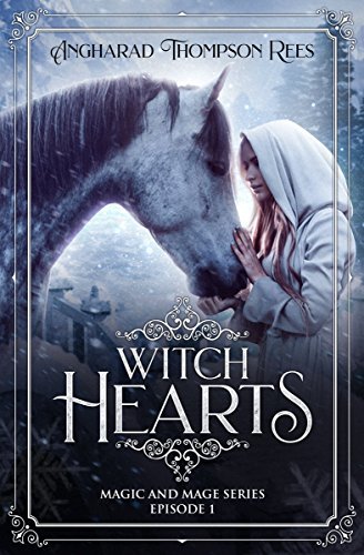 Magic and Mage Series book cover 1