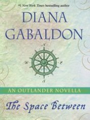 The Space Between book cover