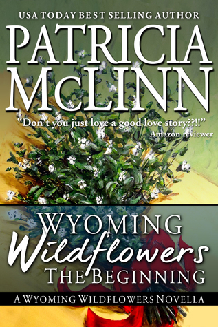 The Beginning book cover