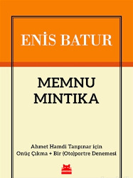 Memnu Mıntıka book cover