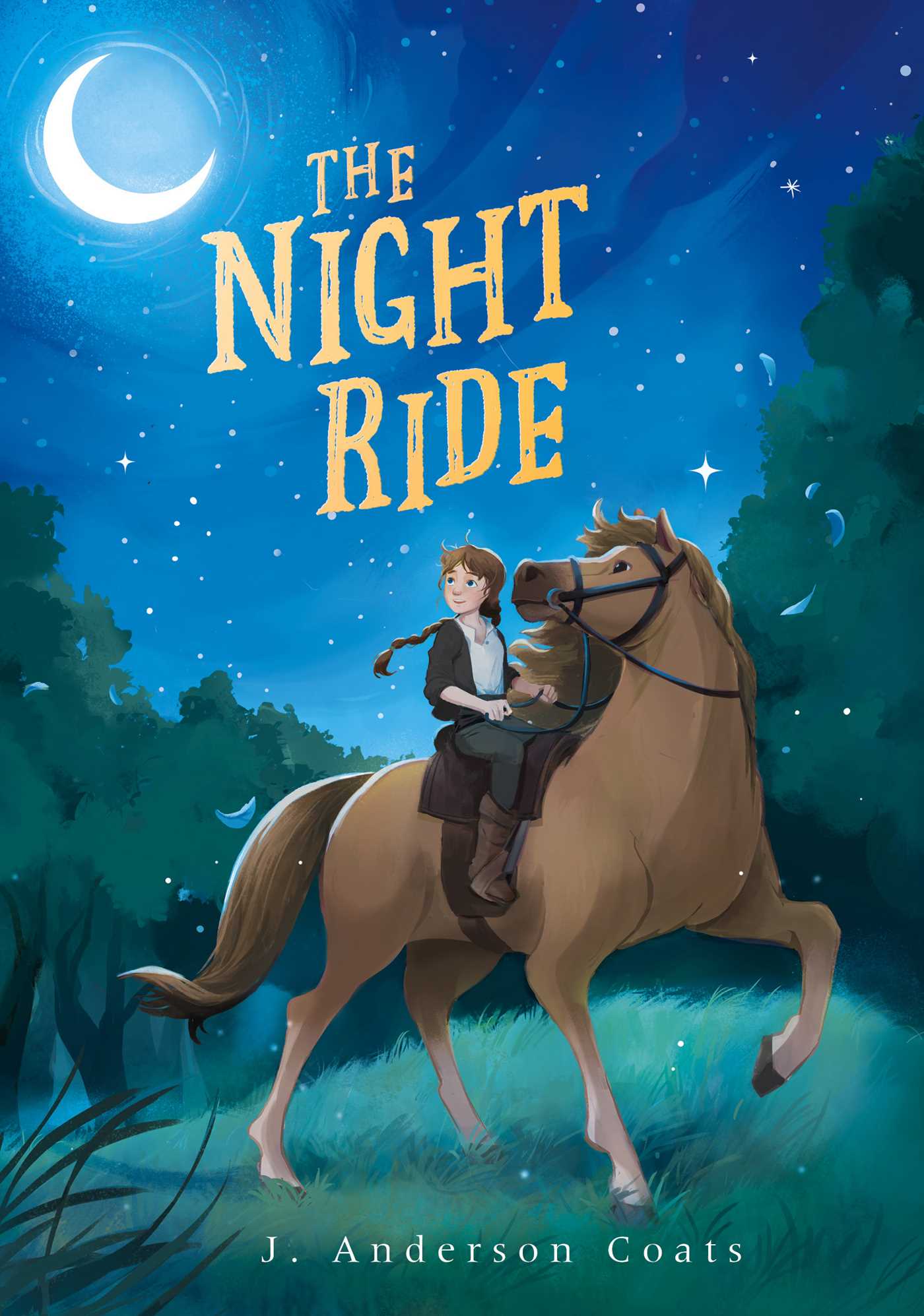 The Night Ride book cover