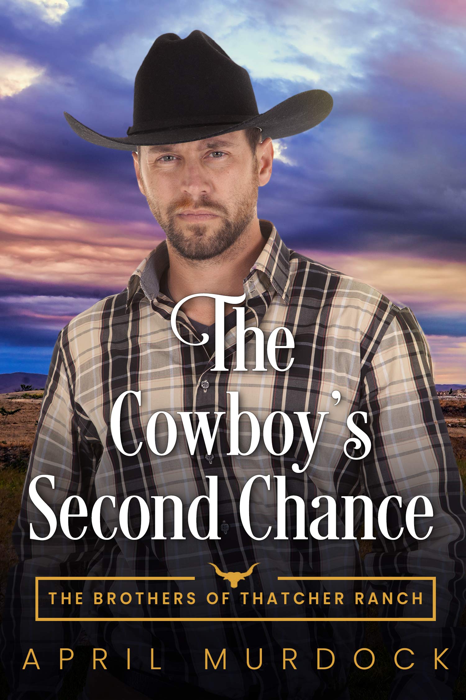 The Cowboy's Second Chance book cover