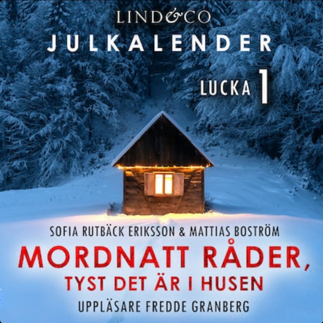 Mordnatt råder: tyst det är i husen book cover 1